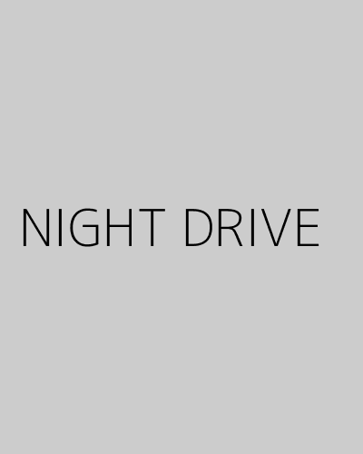 NIGHT DRIVE (2022) poster